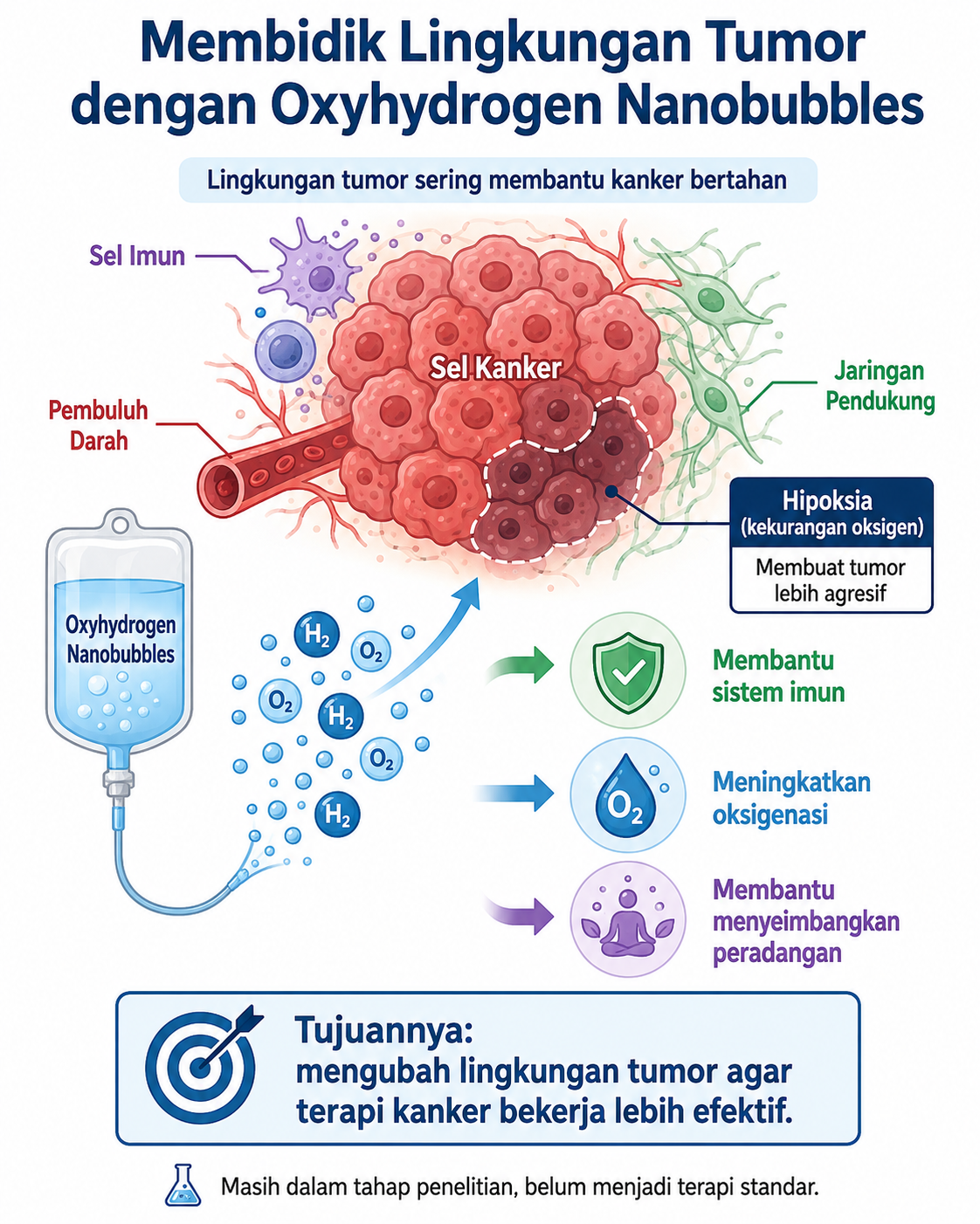 targeting-the-tumor-microenvironment-with-oxyhydrogen-nanobubbles